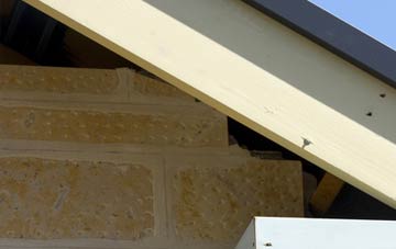 soffit repair Wallend
